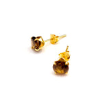 Zoe Ohrringe • 14k Echtgold